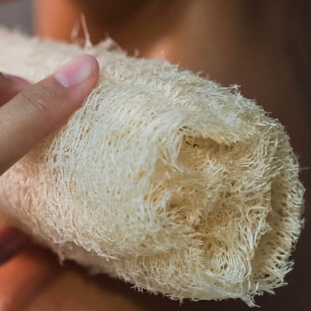 Loofah Sponge - Body