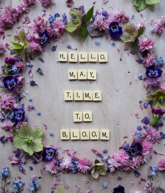 Bloom! - My Skin Pride, LLC