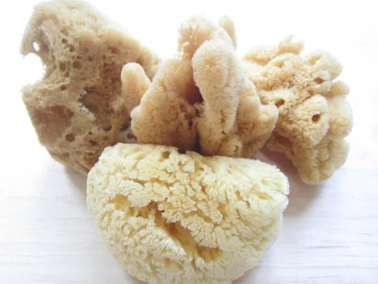 BATH EXTRAS - My Skin Pride, LLC