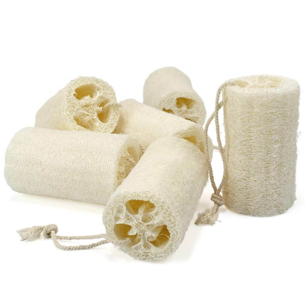 Loofah Sponge - Body - My Skin Pride, LLC