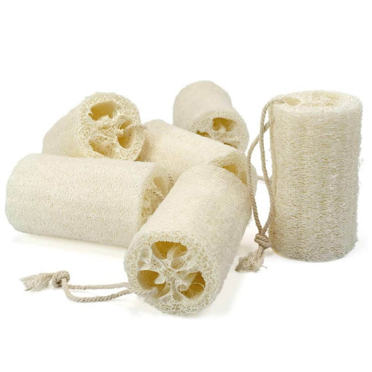 Loofah Sponge - Body - My Skin Pride, LLC