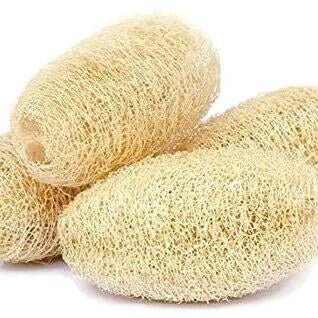 Loofah Sponge - Organic (Small) - My Skin Pride, LLC