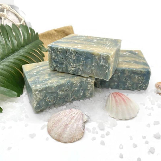 Sea Salt and Kelp Bar Soap - My Skin Pride, LLC